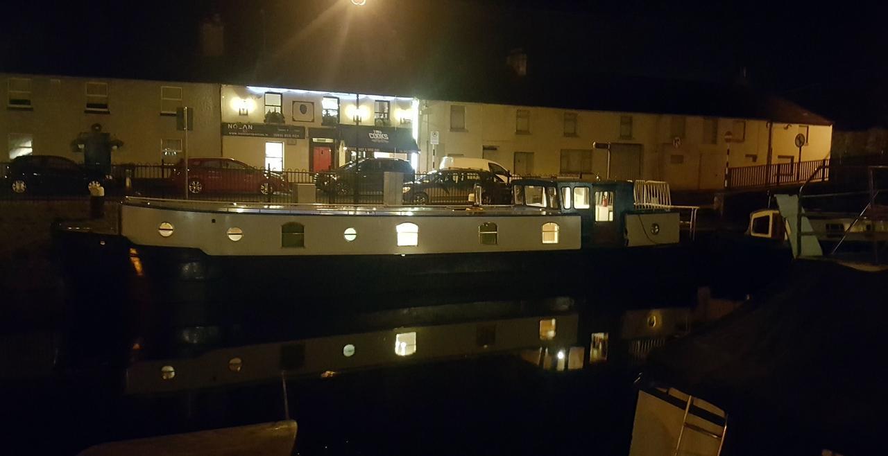 Hotel Roisin Dubh Houseboat Sallins Zewnętrze zdjęcie