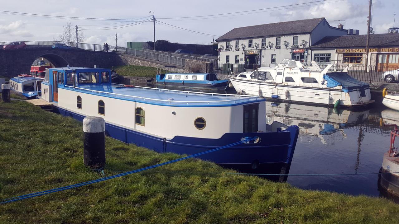 Hotel Roisin Dubh Houseboat Sallins Zewnętrze zdjęcie